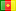 CAMEROON flag